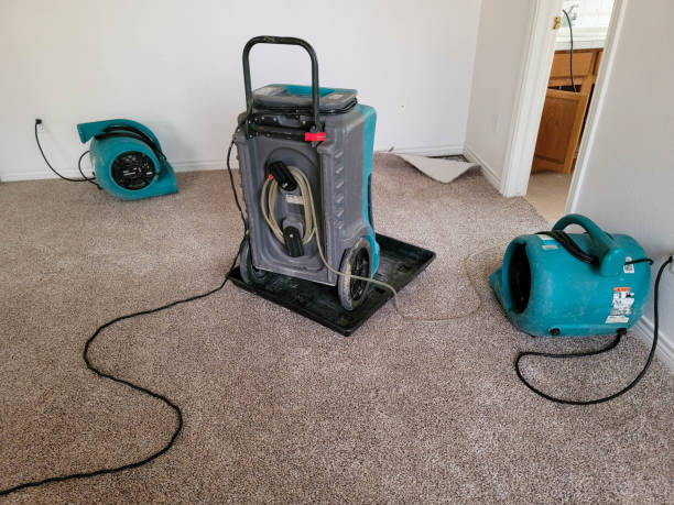 Best Emergency water damage restoration  in Talahi Island, GA