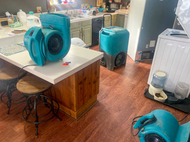  Talahi Island, GA Water damage restoration Pros