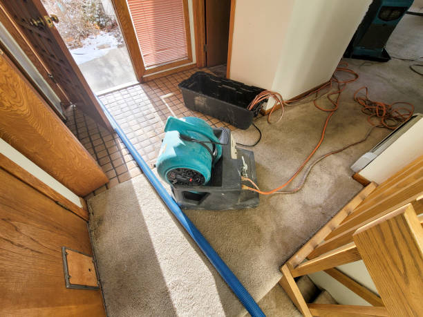 Best Emergency water damage restoration  in Talahi Island, GA