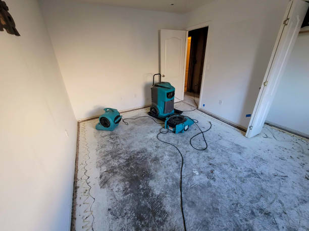 Best Flood damage cleanup  in Talahi Island, GA