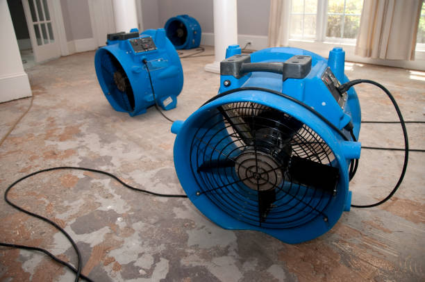 Best Water damage contractors near me  in Talahi Island, GA