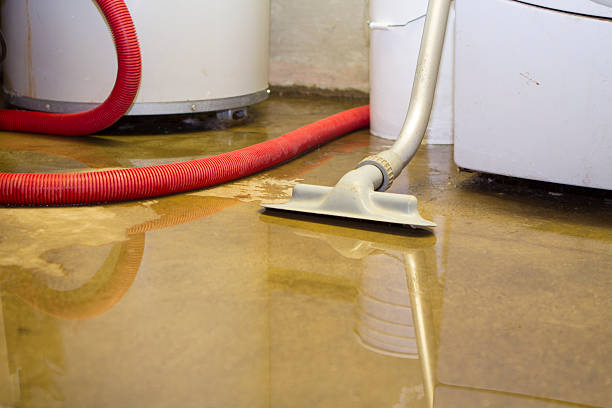 Best Local water damage restoration  in Talahi Island, GA