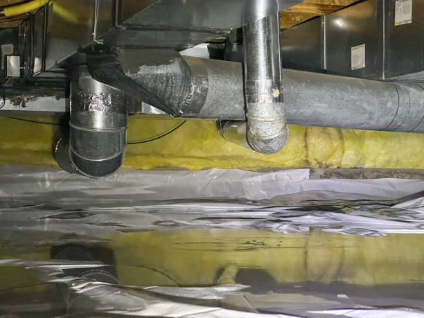 Best Water damage restoration near me  in Talahi Island, GA