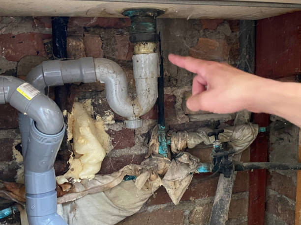 Best Water damage restoration specialists  in Talahi Island, GA